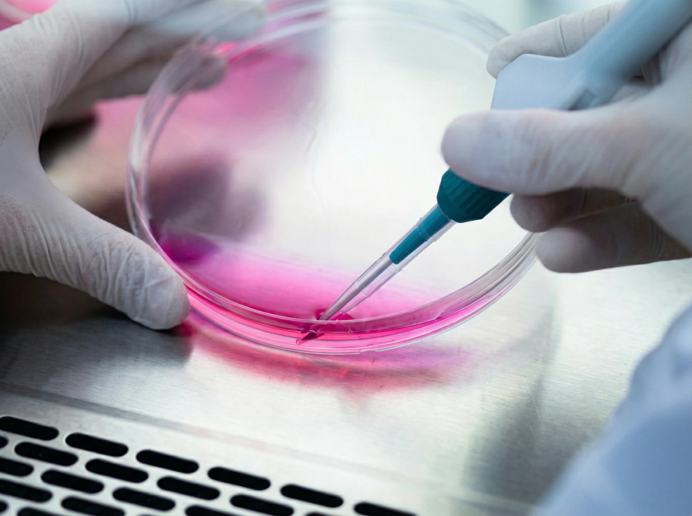Laboratory technician using a micropipette on a petri dish during stem cell preparation